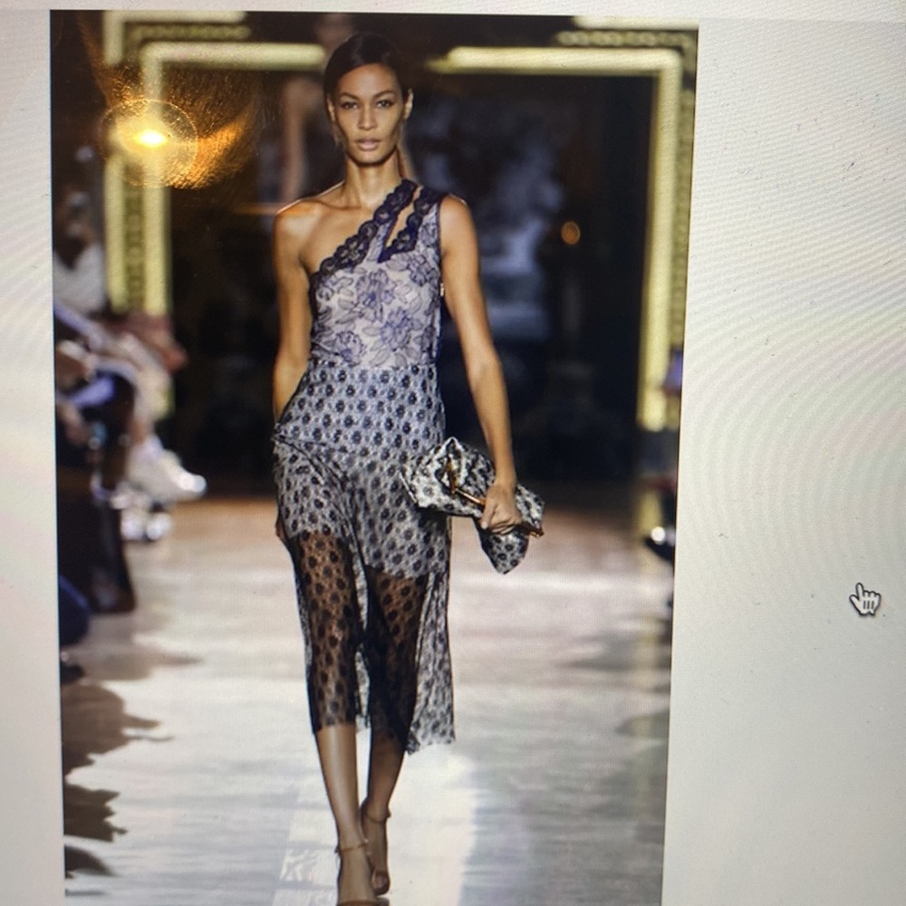 Stella McCartney - SS 2014 Sheer Lace Skirt / NWT